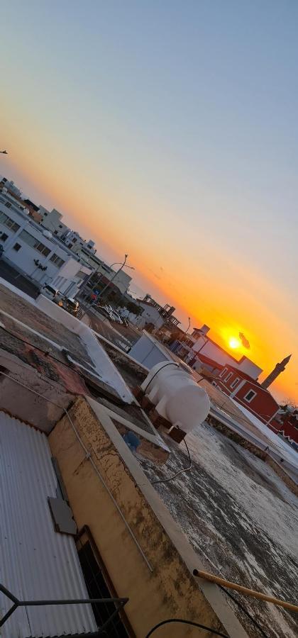 Bee Hostel Paphos Exterior photo